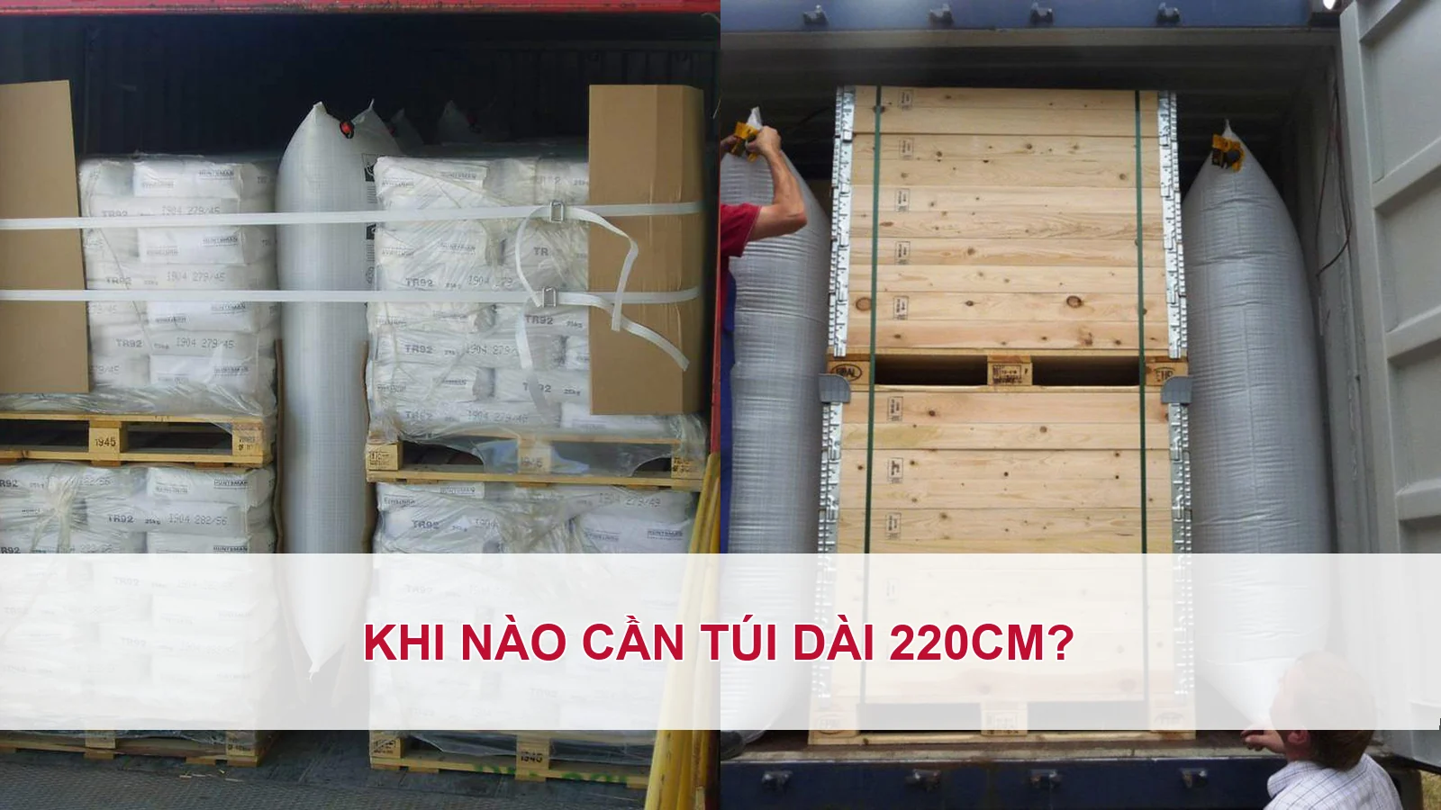 Khi nào cần túi dài 220cm?