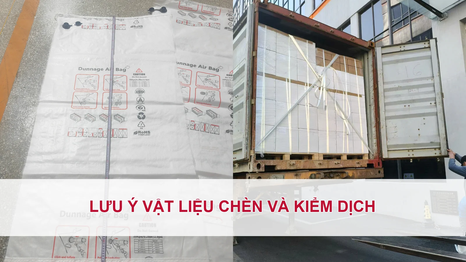 Lưu ý vật liệu chèn và kiểm dịch