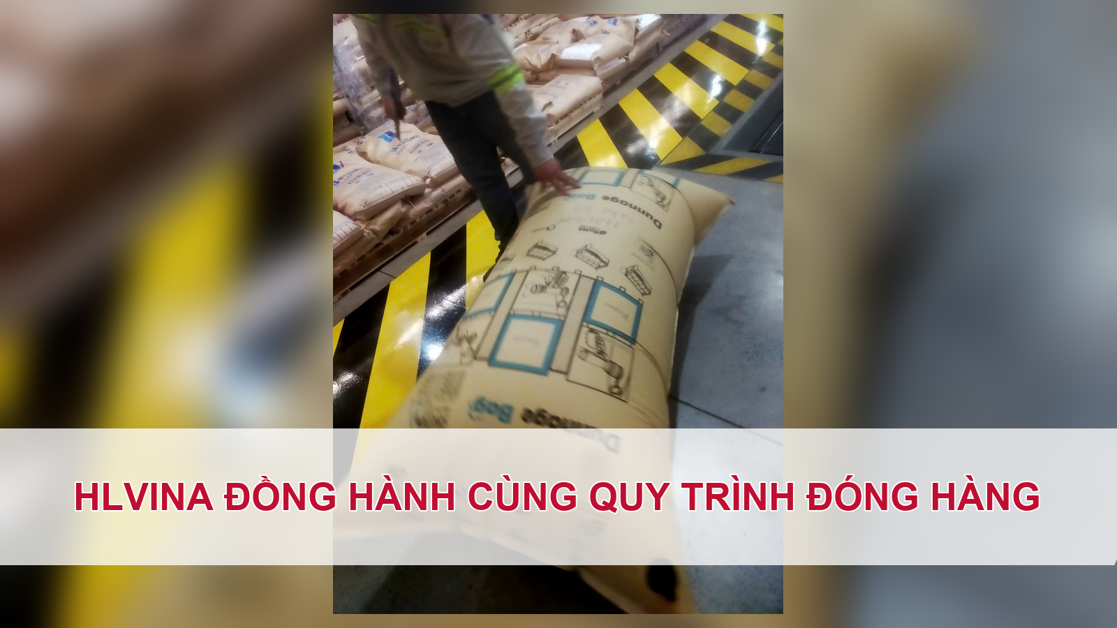 HLVINA đồng hành cùng quy trình đóng hàng